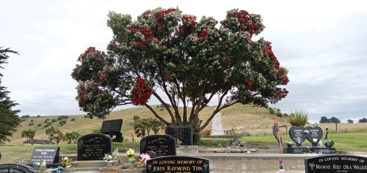 MOERAKI URUPA